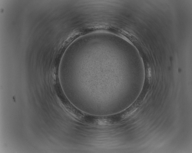 X0000073890264200608180941