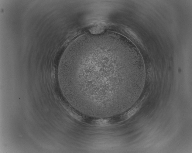 X0000073890265200608180941