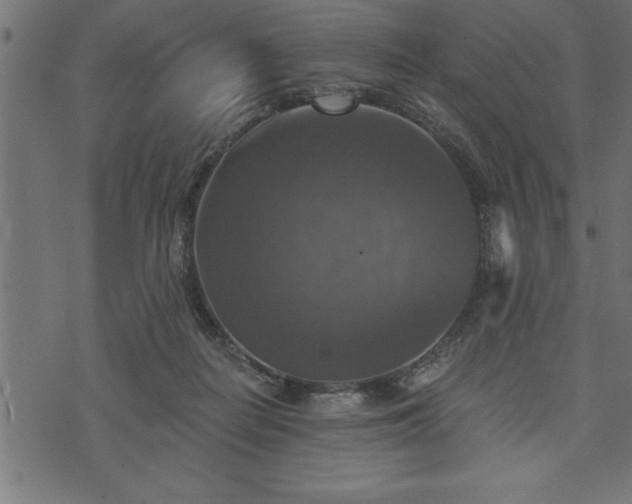 X0000073890266200608180941