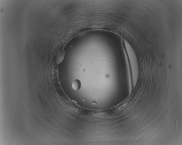 X0000073890268200608180941