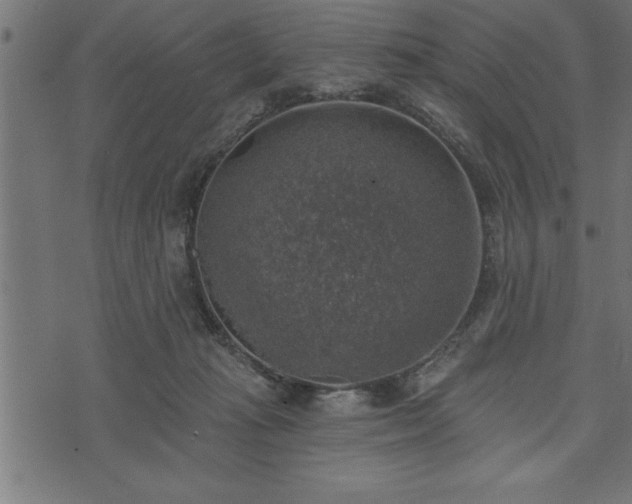 X0000073890269200608180941