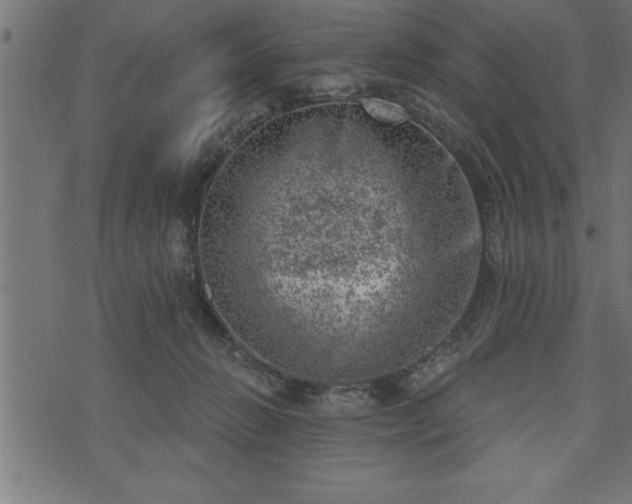 X0000073890270200608180941