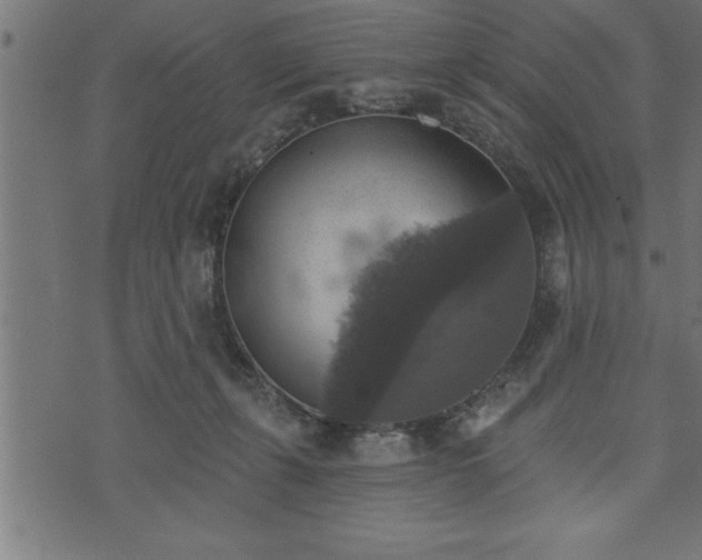 X0000073890271200608180941