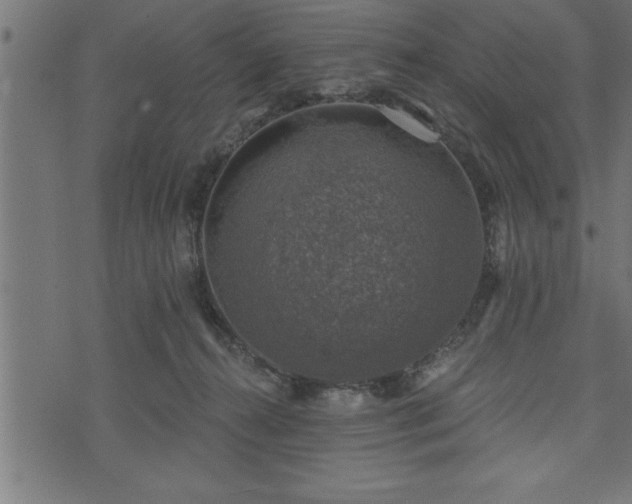 X0000073890272200608180941