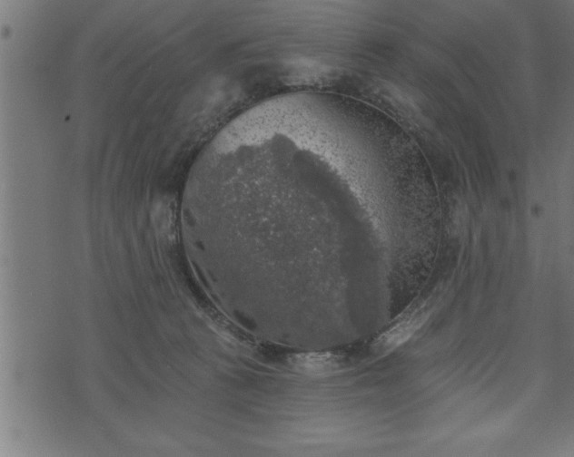 X0000073890273200608180941