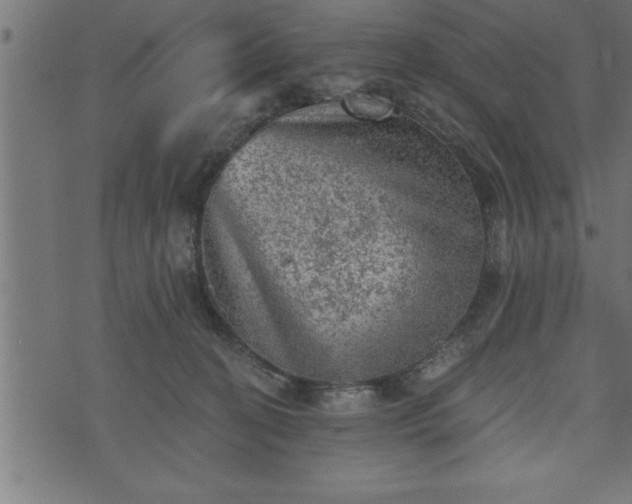 X0000073890274200608180941