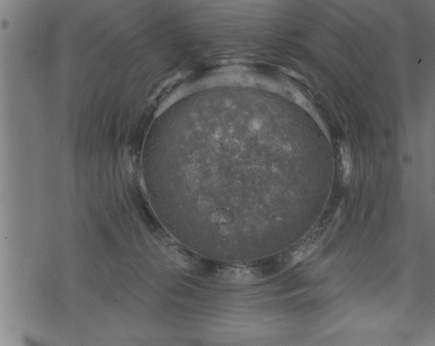 X0000073890276200608180941