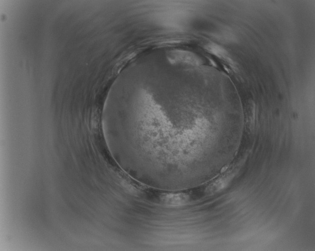 X0000073890277200608180941