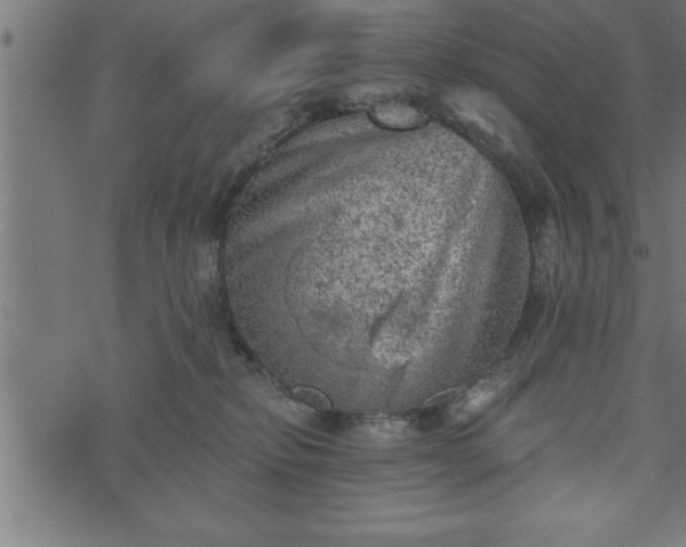 X0000073890278200608180941