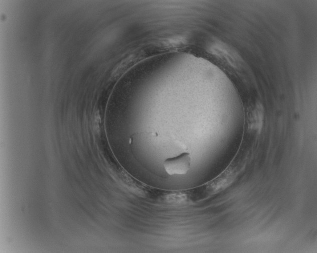 X0000073890279200608180941