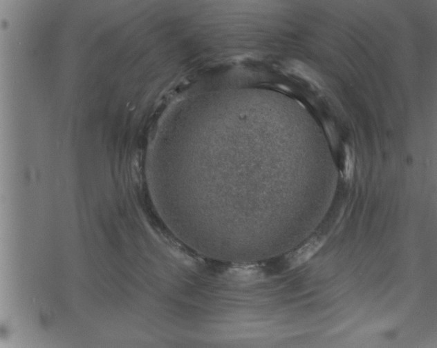 X0000073890280200608180941