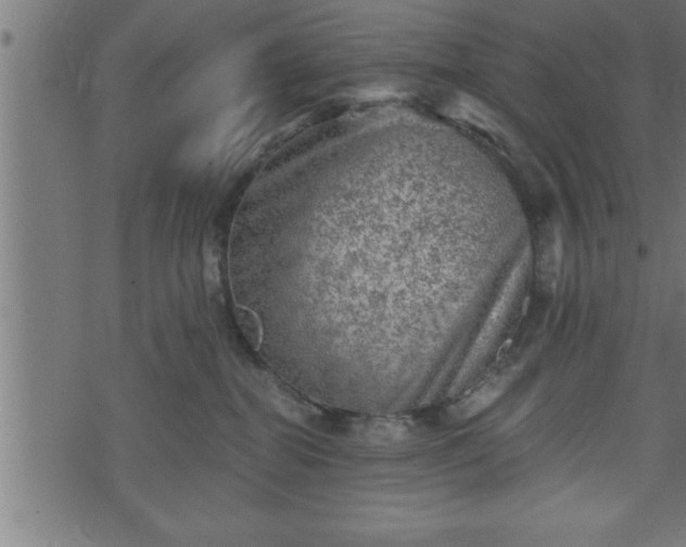 X0000073890282200608180941