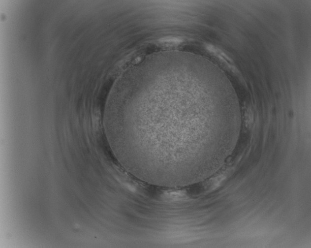 X0000073890283200608180941