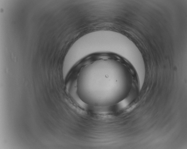 X0000073890284200608180941