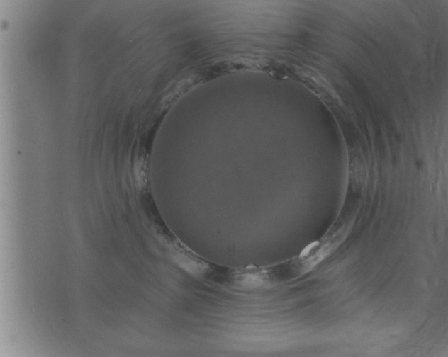 X0000073890285200608180941