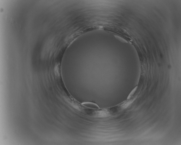 X0000073890286200608180941