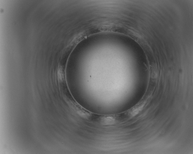 X0000073890287200608180941