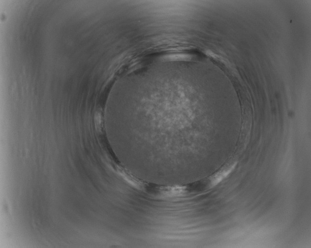 X0000073890288200608180941