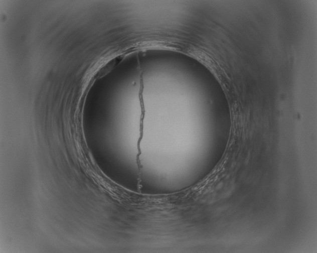 X0000073890289200608180940