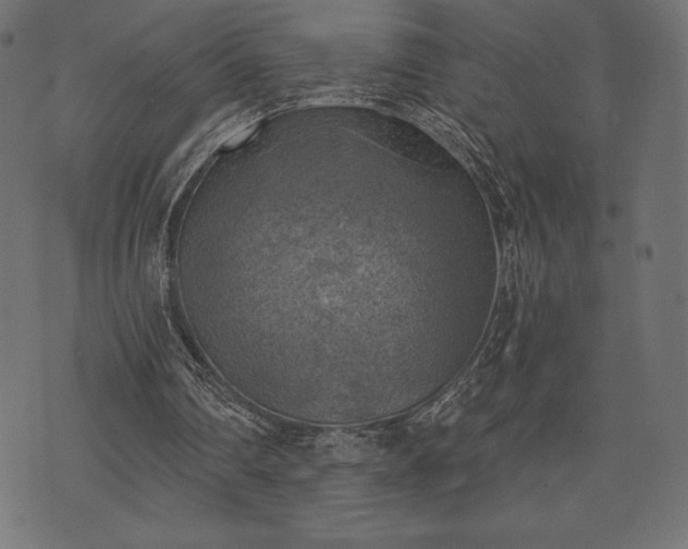 X0000073890290200608180940