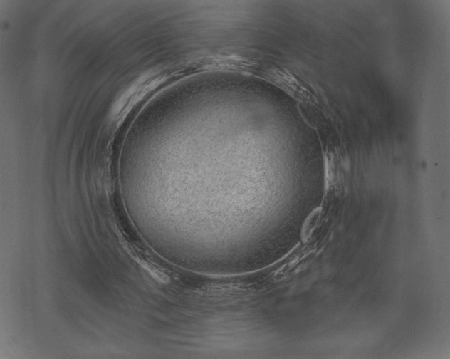 X0000073890291200608180940