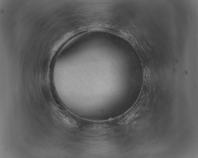 X0000073890292200608180940