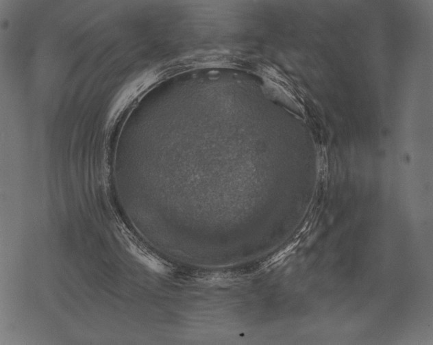 X0000073890293200608180940