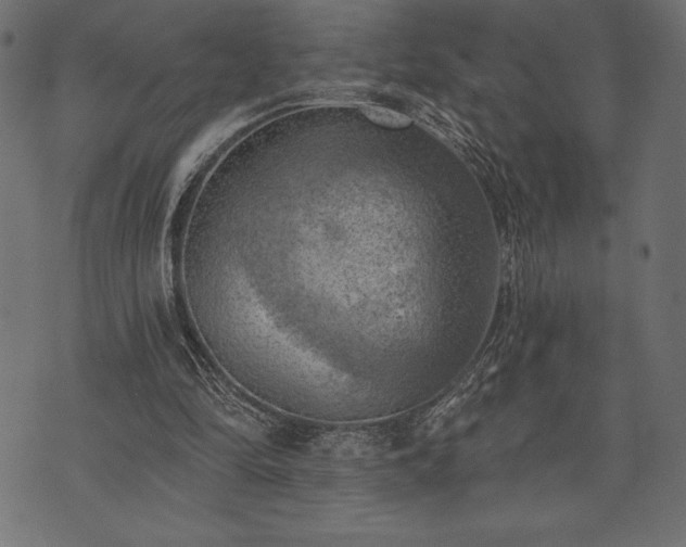 X0000073890294200608180940