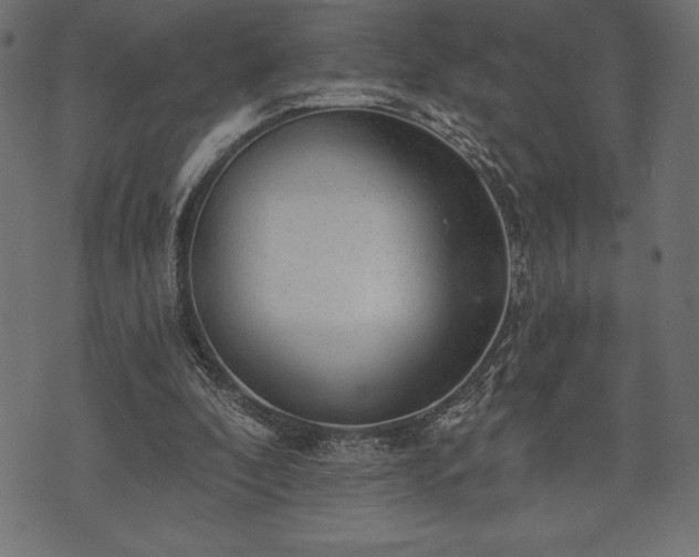 X0000073890296200608180940