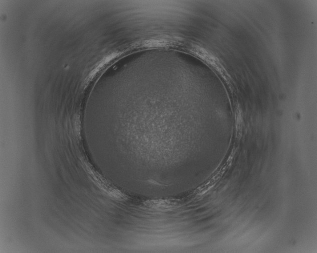 X0000073890297200608180940