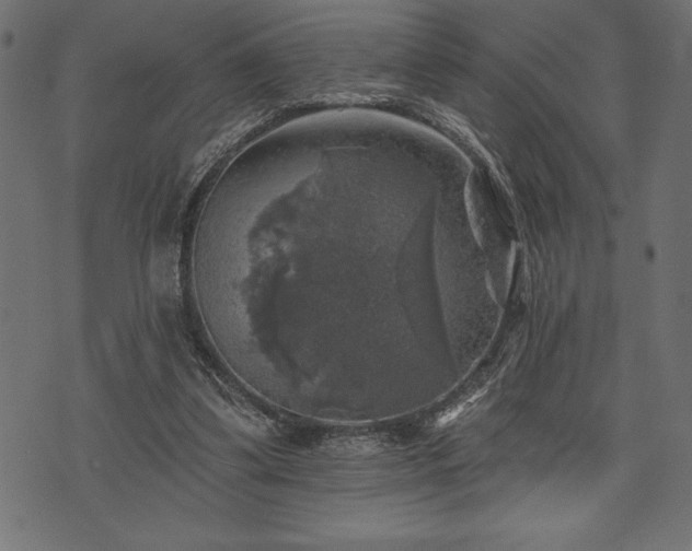 X0000073890299200608180940