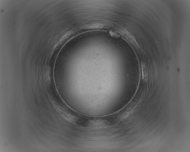 X0000073890300200608180940