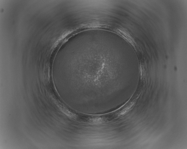 X0000073890301200608180940