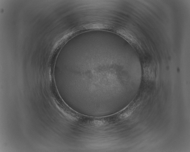 X0000073890302200608180940