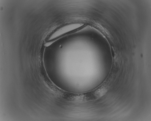 X0000073890306200608180940