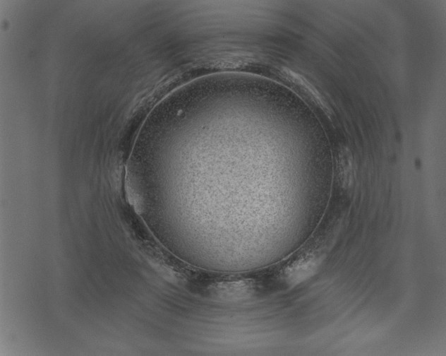 X0000073890307200608180940