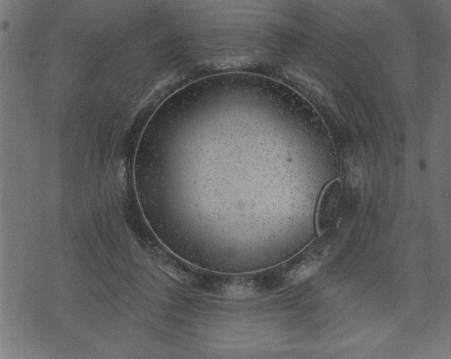 X0000073890308200608180940