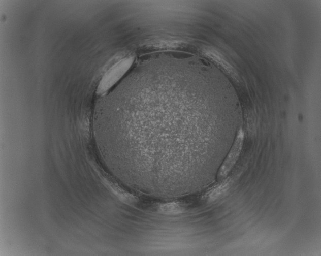 X0000073890309200608180940