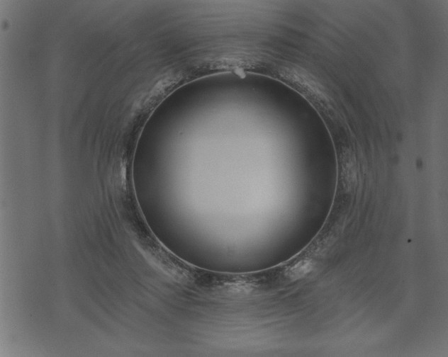 X0000073890310200608180940