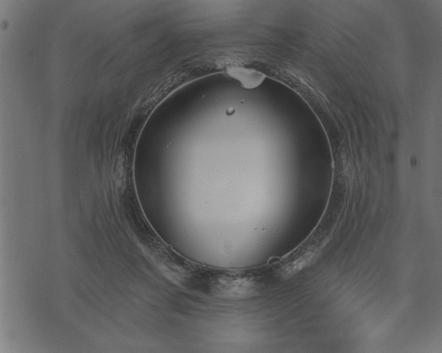 X0000073890311200608180940