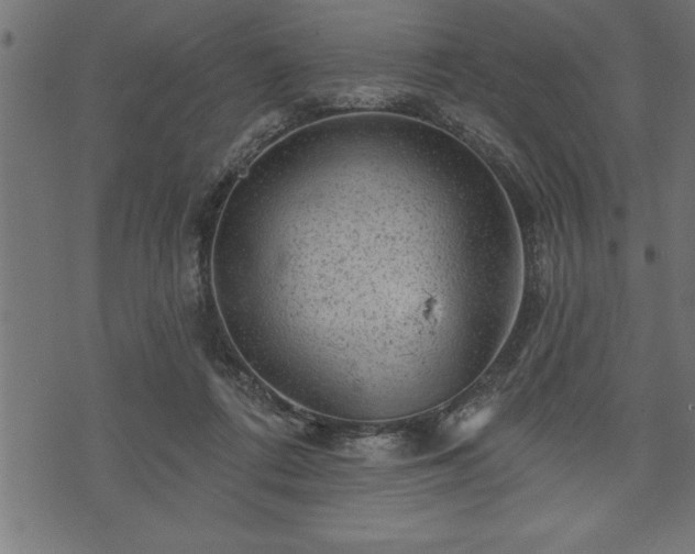 X0000073890312200608180940