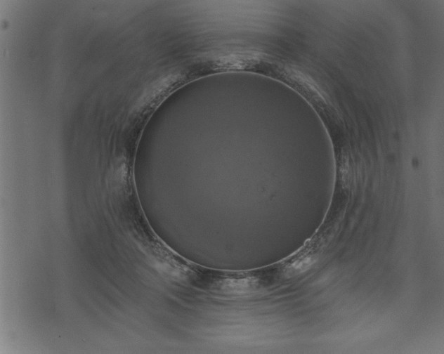 X0000073890314200608180940