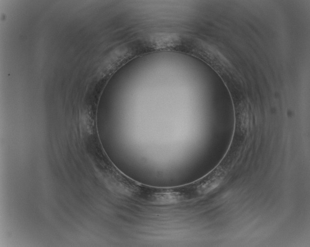 X0000073890316200608180940