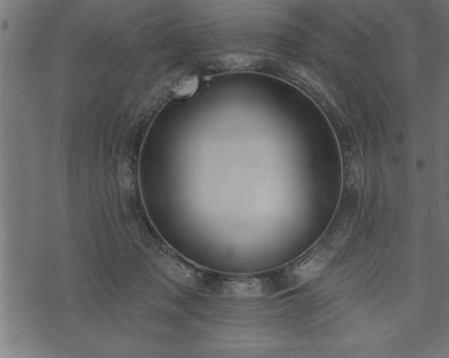 X0000073890317200608180940