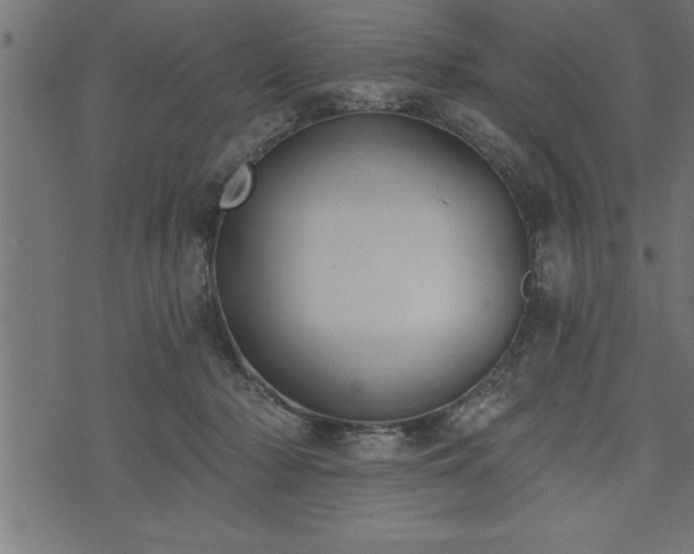 X0000073890318200608180940