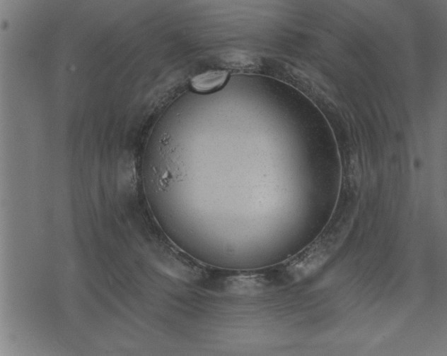 X0000073890320200608180940