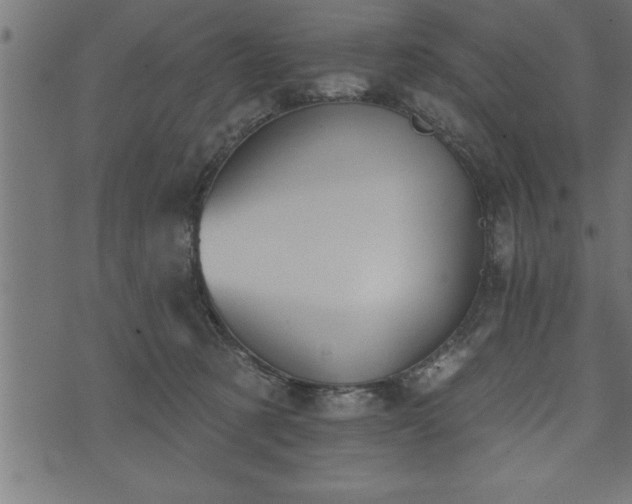 X0000073890321200608180940