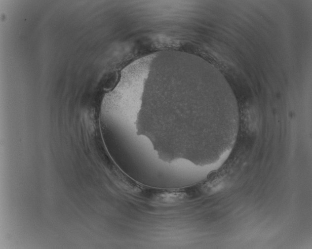 X0000073890323200608180940