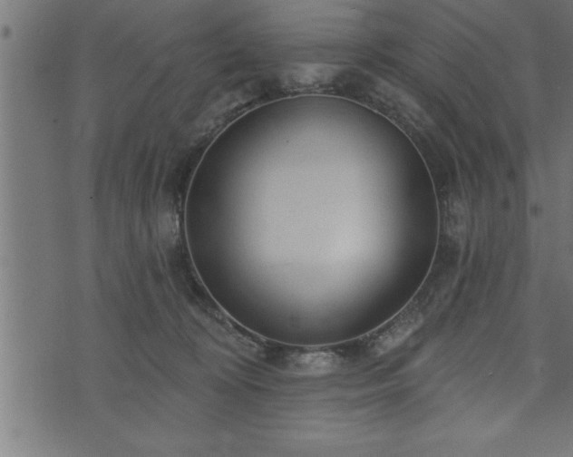 X0000073890324200608180940