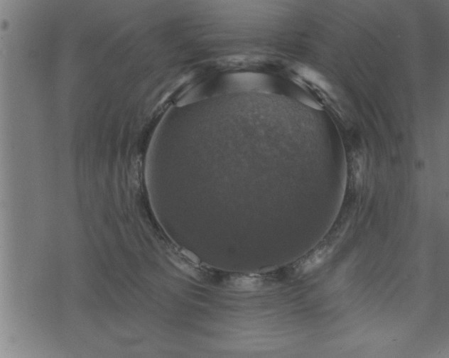 X0000073890325200608180940